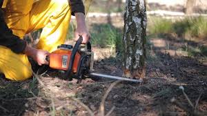 Best Lawn Maintenance Plans  in Port Reading, NJ