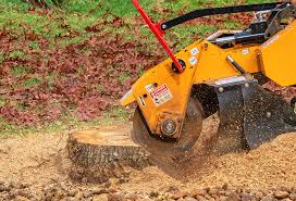 Best Lawn Grading and Leveling  in Port Reading, NJ
