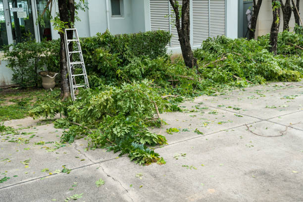 Best Tree Health Inspection  in Port Reading, NJ