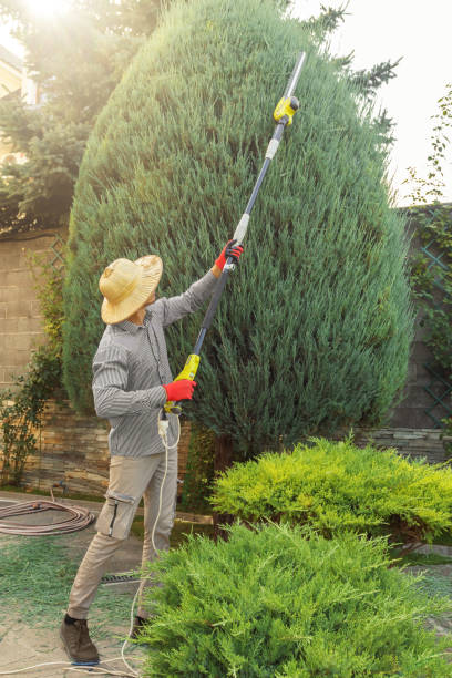 Best Soil Testing and Treatment  in Port Reading, NJ